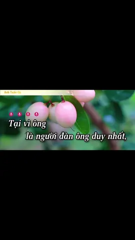 Karaoke# Người Tình Trên Chiến Trận🌸🍃🌸🍃