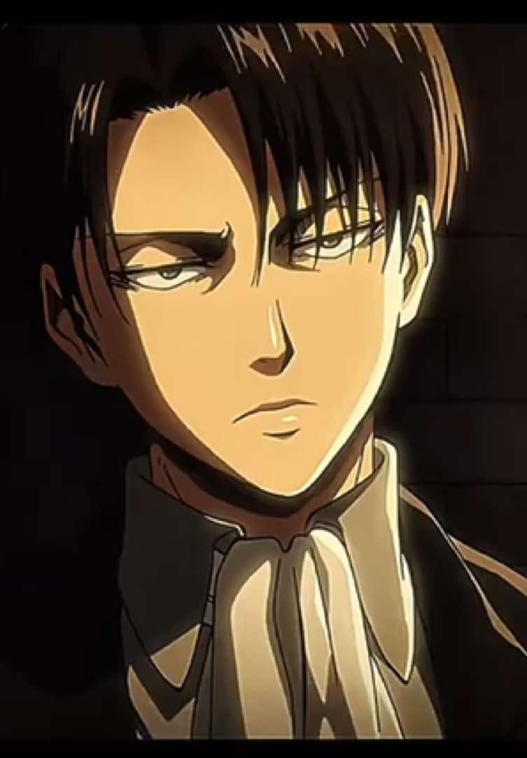 #LEVI dara-rat-da-daddi #leviackerman #aot #AttackOnTitan #fyp 