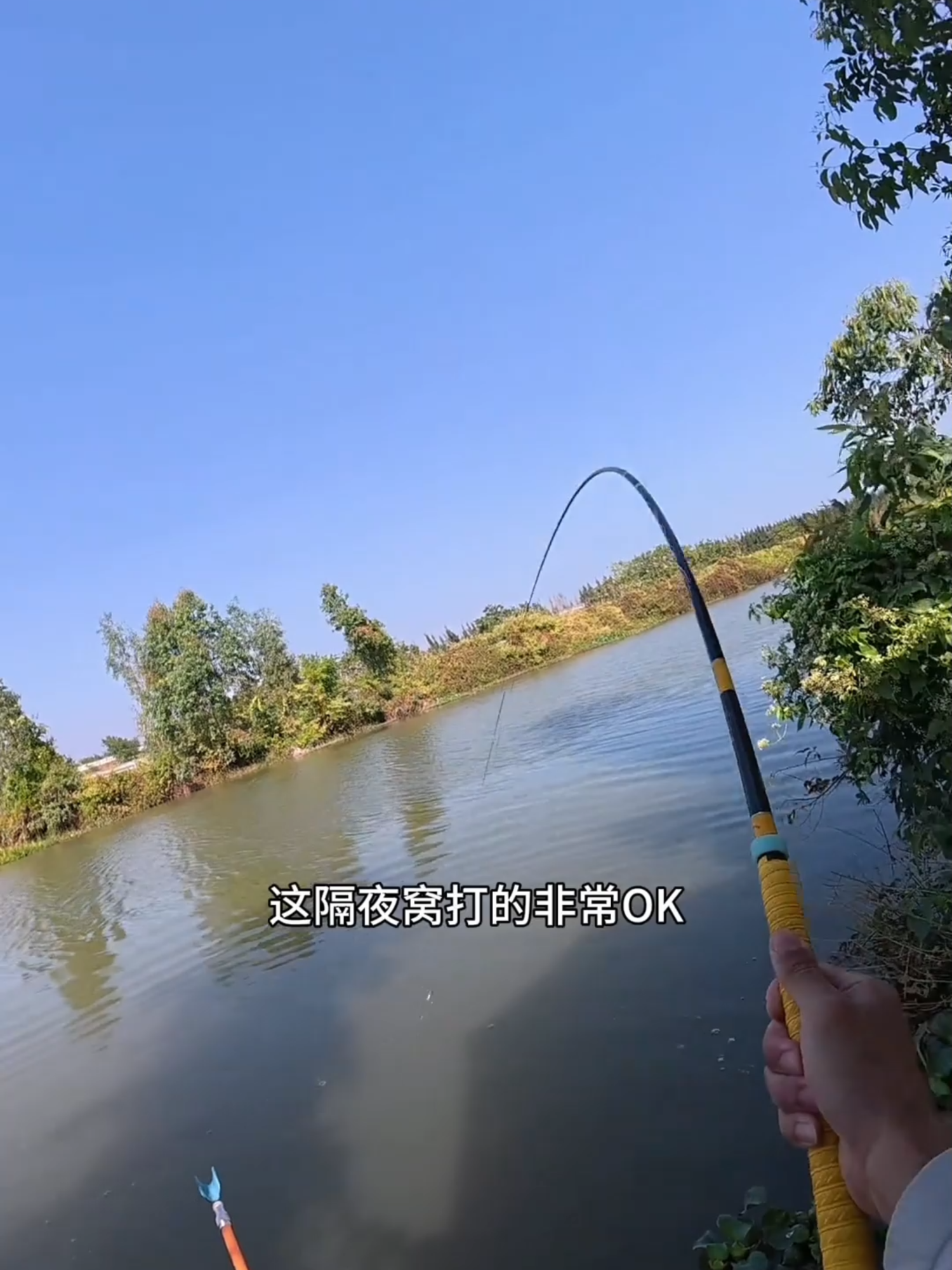 Không ngờ lại câu được con cá trê luôn ae ạ #cauca #caucagiaitri #fishing #caucatunhien #caucachuyennghiep