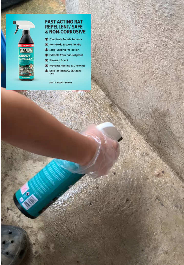 Marsh rodent repellent #marshrodentrepellent #ratrepellent #ratrepellentspray 