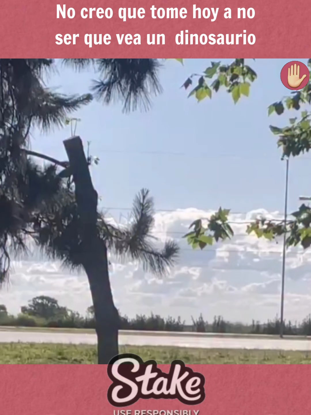 No creo que tome hoy a no ser que vea un dinosaurio