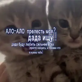 ПОЖАЛУЙСТА НАПИШИТЕ В ЛС МНЕ КТО-НИБУДЬ, МОЛЮ ВАС (я правда хорошая)  #wlw #влв #найдись #нуждаюсьвтебе #мненужнаты #пожалуйста #дадаищу 