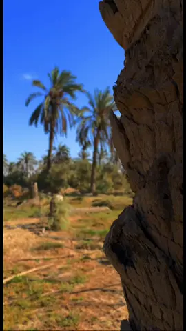 صباح العماري📸ترى من اضيج خلكي اروح المن💔#تصويري #تصويري_احترافي_الاجواء👌🏻🕊😴 #اغاني #جواد الساعدي#مول حزين