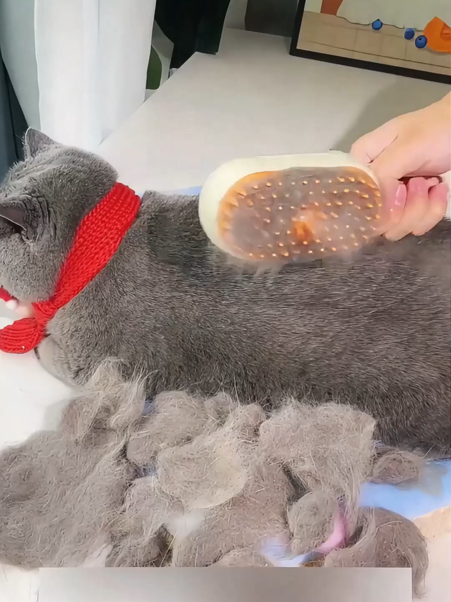 Escova A Vapor Para Gatos Cães 3 Em 1 Escovas Elétricas De