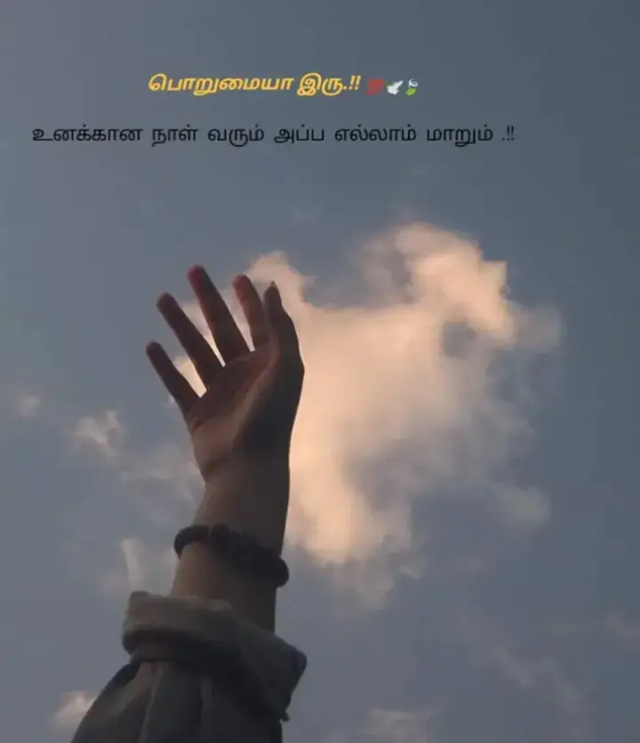 #creatorsearchinsights @𝕸𝖗. 𝕹𝖆𝖗𝖚𝖙𝖔🤴🏻🍃 