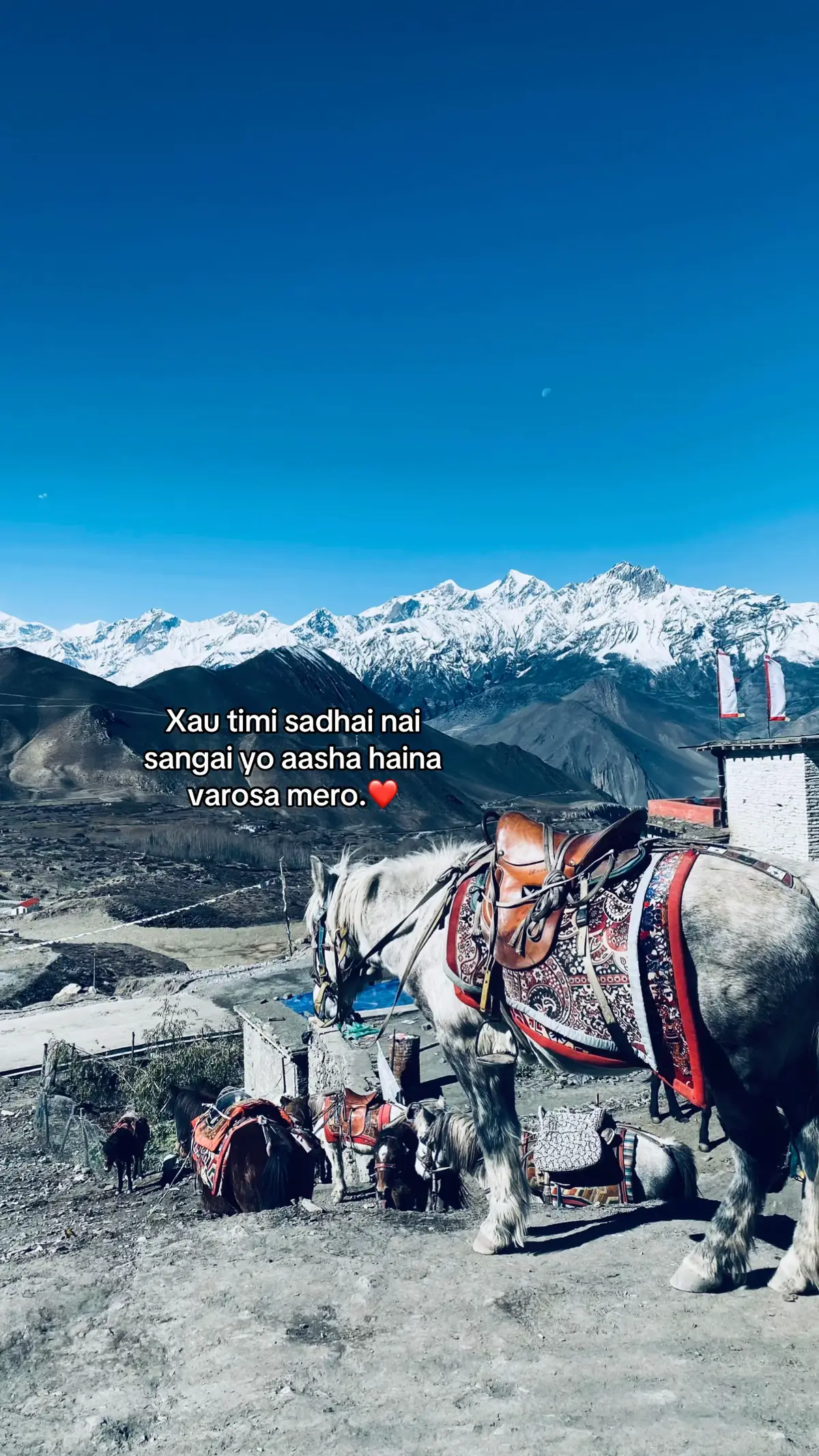 Sadhai vari ko❤️#fyp #foryoupage 