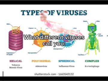 H-how viruses c-c-call y-you.. nya~! #fyp #thirstrap #bacteria #Science #fyppppppppppppppppppppppp 