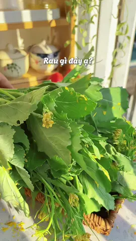 Rau gì đây các bác ơi. mùa này có ít rau này đem xào tỏi thì ngon hết bài. thời tiết đẹp nhất năm!!!  #caingongxaotoi #cooking #comnha #nauan #venhaancom 