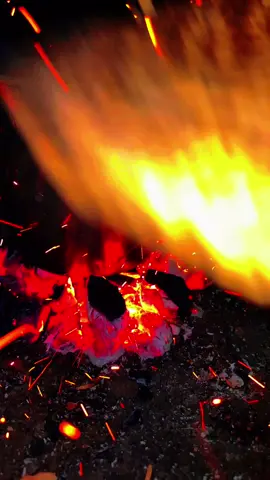 #البطانه_جمال_الباديه_والريف  #اكسبلورexplore #الجبنه 