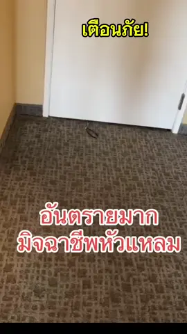 #เบาสบายสไตล์พรรวินท์ #thaistarseedawakening 