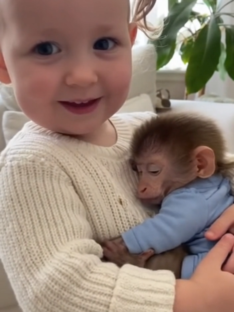 hi baby I love you monkey sleeping 😴😪