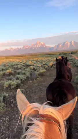 Missing our morning wrangle’s so much #wyoming #wrangler 