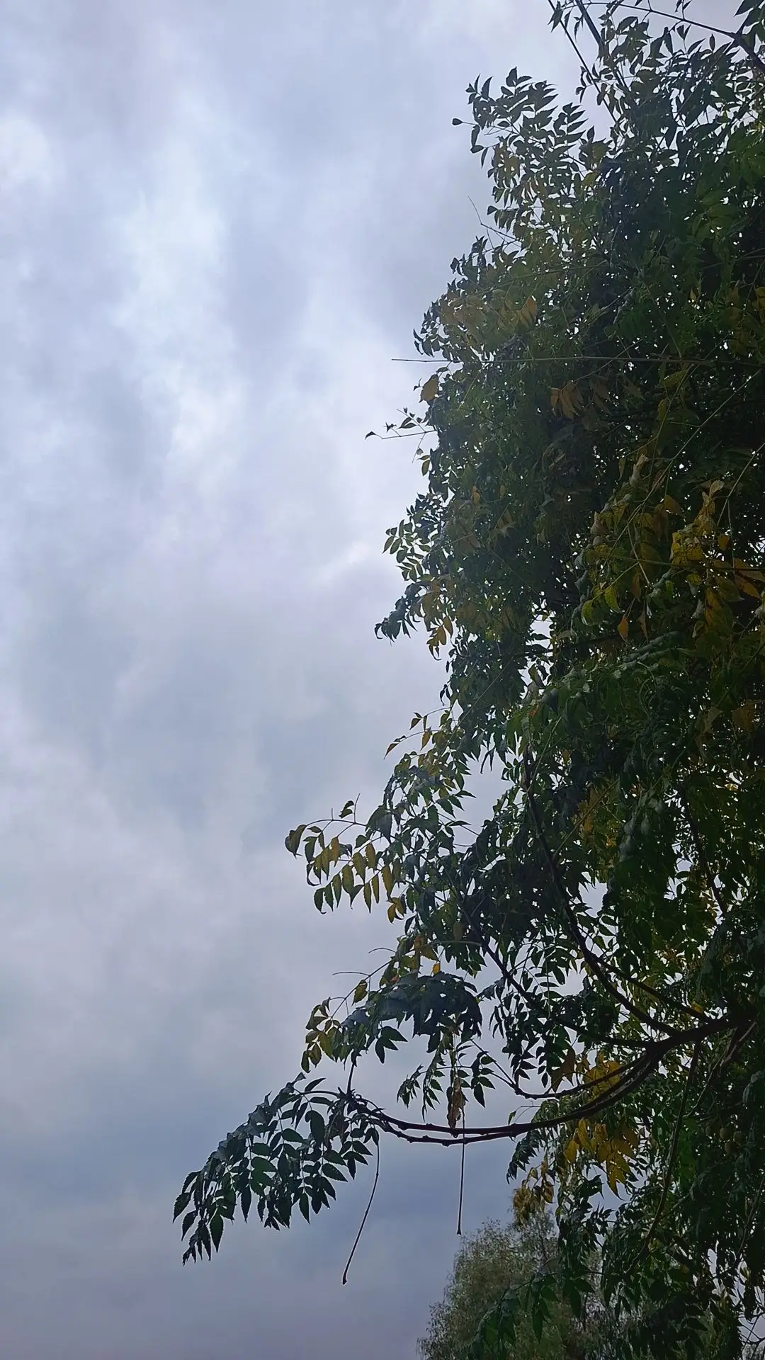 #ti̇ktok #sulaymaniyah #kurdistan #explore #foryou 