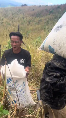 #ไว้ลุนทํางานไปมวนไป#ดาวบ้านดอน #เพลงดาวบ้านดอน #ฟีดดดシ #อยู่กับธรรมชาติ