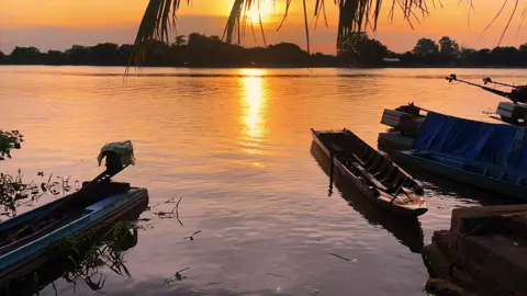 Không hẹn ngày về #canhdepmientay #binhyen #quehuong #chill #chilltayninh📸 