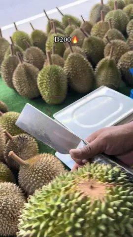 #durianlover #duriantraveler #durianmukbang #d200 #durihitam 