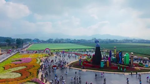 TAICHUNG INTERNATIONAL FLOWER CARPET FESTIVAL 2025 #fyppppppppppppppppppppppp #everyone #tiktoktrending #ofwtaiwan #fypシ゚ 