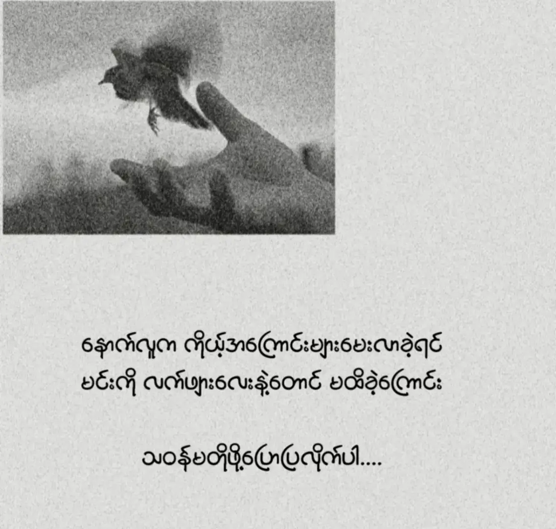 လက်ဖျားလေးနဲ့တောင် မထိခဲ့ကြောင်း သဝန်မတိုဖို့ပြောပြလိုက်ပါ💔😞🥀 #tiktokmyanmar🇲🇲 #စာတို💯🥀😓 #foryoupage❤️❤️ #crdစာသား #🤡ကျူရစ်လန်🤡စာတို 