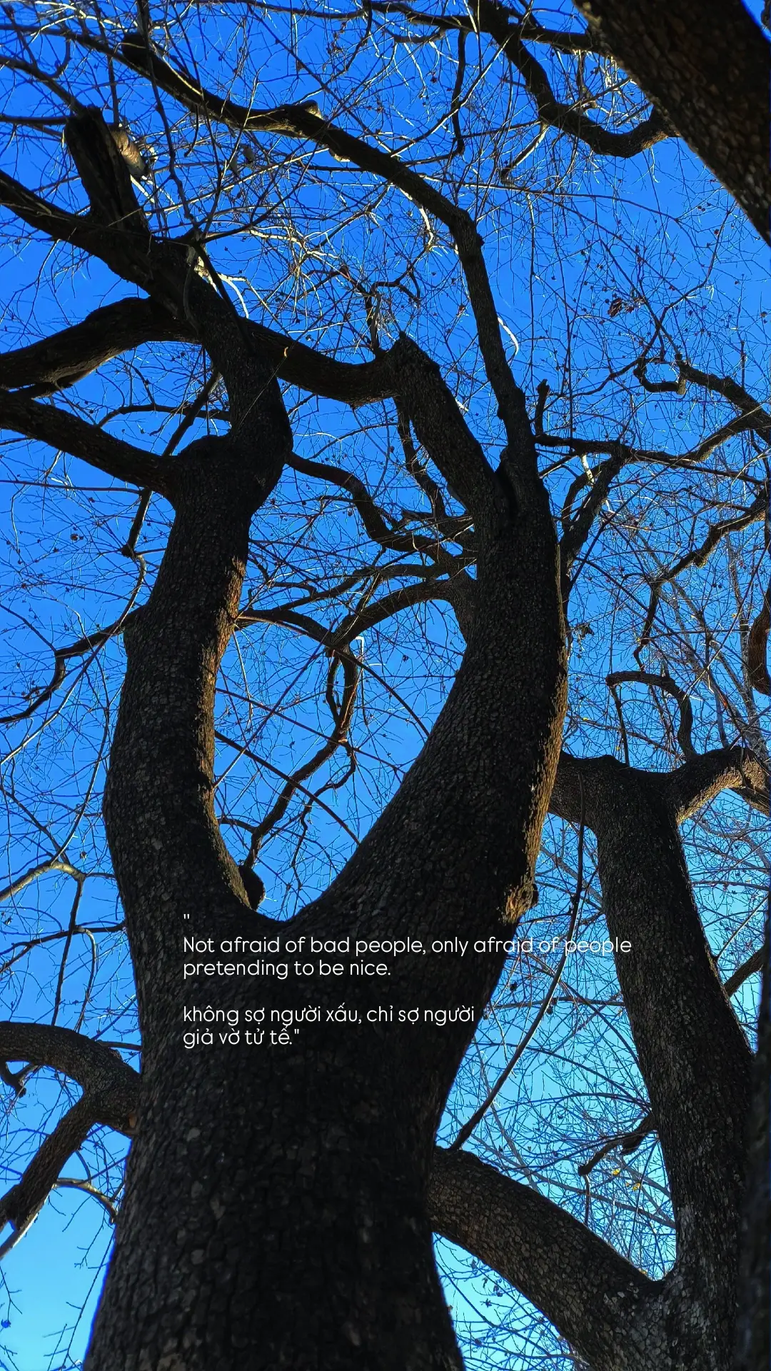 Not afraid of bad people, only afraid of people pretending to be nice...