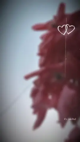 #CapCut #creatorsearchinsights #fy #viral?videotiktok😇😇 