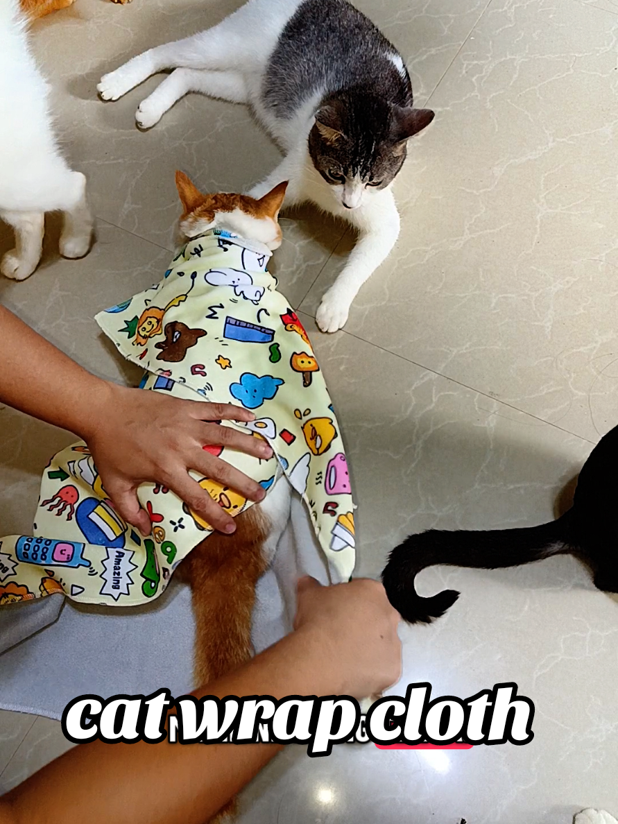 cat wrap cloth para easy linisan ang fur baby mo #CatCare #CatGrooming #StressFreePets #PetHygiene #CatsOfTikTok     