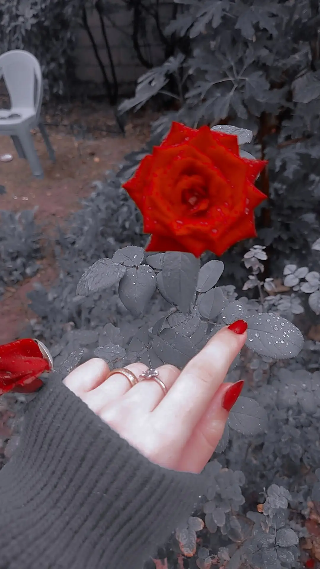 #بس تخيل..!؟  🙂👍🏻