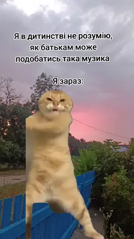 #Meme #MemeCut #CapCut #рекомендации 