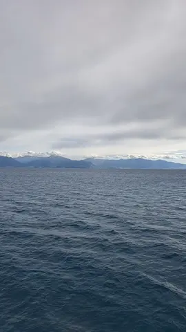 #الحب_وبس #فضل_شاكر #تصويري #هواجيس #fy 