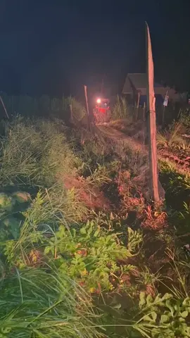 #petanimuda🍉#fyp#bismillah#