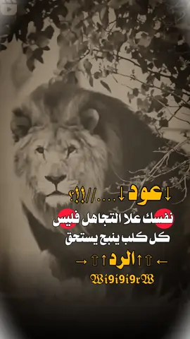 #عبارات _الملك_#استوريات #عبارات_جميلة_وقويه😉🖤 #اكسبلور #fypシ゚viral🖤tiktok☆♡🦋myvideo 