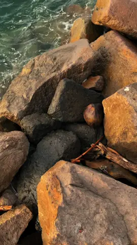 Pesan-pesan’mu hari ini >>