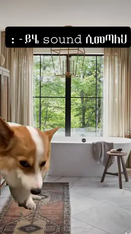 #wend honeh kaltemecheh takem🤩🤩🤣#fyppppp #dhonjo maber chalenge