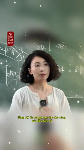 Triết lý ẩn sau thế giới động vật #Conhantrietluan #TrietLySong #baihoccuocsong #sach #khoahoccaptocvetubanvatienbac 