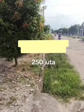 Rumah Murah Punggur Lampung Tengah  Wa 081368861792 #rumahmurah #rumahminimalis #rumahidaman #fyppppppppppppppppppppppp #punggur 