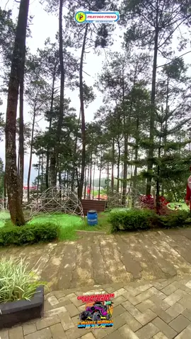 lalekne urusan dapur bun... #smp3tempel # #prayogoprima #