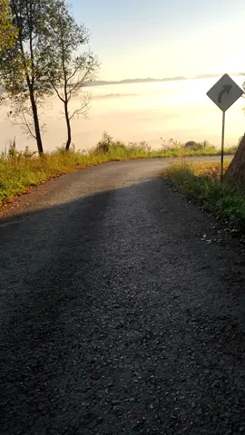 #ရွာဆင်းလမ်းလေး #မြင်ဖူးစေချင်လို့ပါ #တောရွာဓလေ့ #🥀🥺 #🥀🥀🥀 