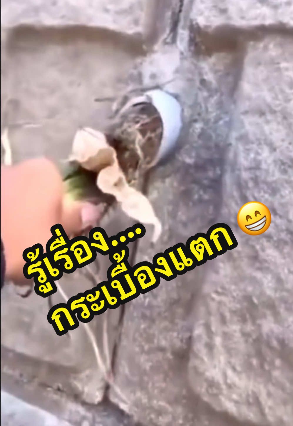 อะไรอยู่ในท่อ #ดูให้จบ #รู้เรื่องกระเบื้องร้าว #เปิดการมองเห็น #เปิดการมองเห็นtiktok 