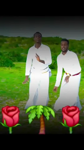 #dhaantocusub01 #follow #sher #kumite abwaan shucayb yare iyo idil ayruush and the rest ♥️ #follow wall waaba soo gashee waxalee iireeba follow sher  dhaantadii abwaan dhaantocusub01 and other dhaantocusub01 