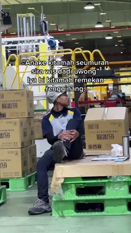 Sepele bi #tarling_indramayu_cirebon 