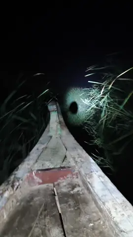 اهوار الجبايش البغداديه🦆