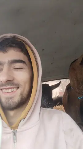 @Monica Serban @denis nicoara @Mario Si Criss @Nicoara Alex 