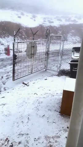 ء 💤❄️Tabuk#تبوك #نيوم #جبل_اللوز #ثلج #dance #anime #keşfet #tiktok 