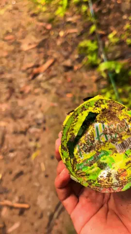 minuman TEH HIJAU apa masih ada ya di tempat kalian kalo di sini ngak pernah nemu aku #nostalgia90an 