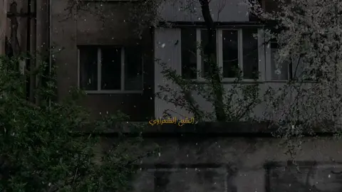 #اللهم_لك_الحمد_ولك_الشكر @الشعراوي 