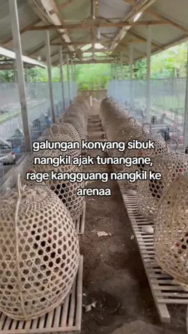 info hari raya #fyp #katakata #ayamfilipin🇵🇭 