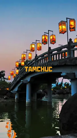 Nhật Bản trong lòng Tam Chúc #tamchuchomnay #xuhuong #viral #nhatban 