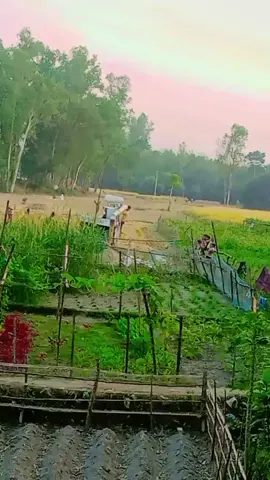 🤙🤙🤙🤙🤙🤙