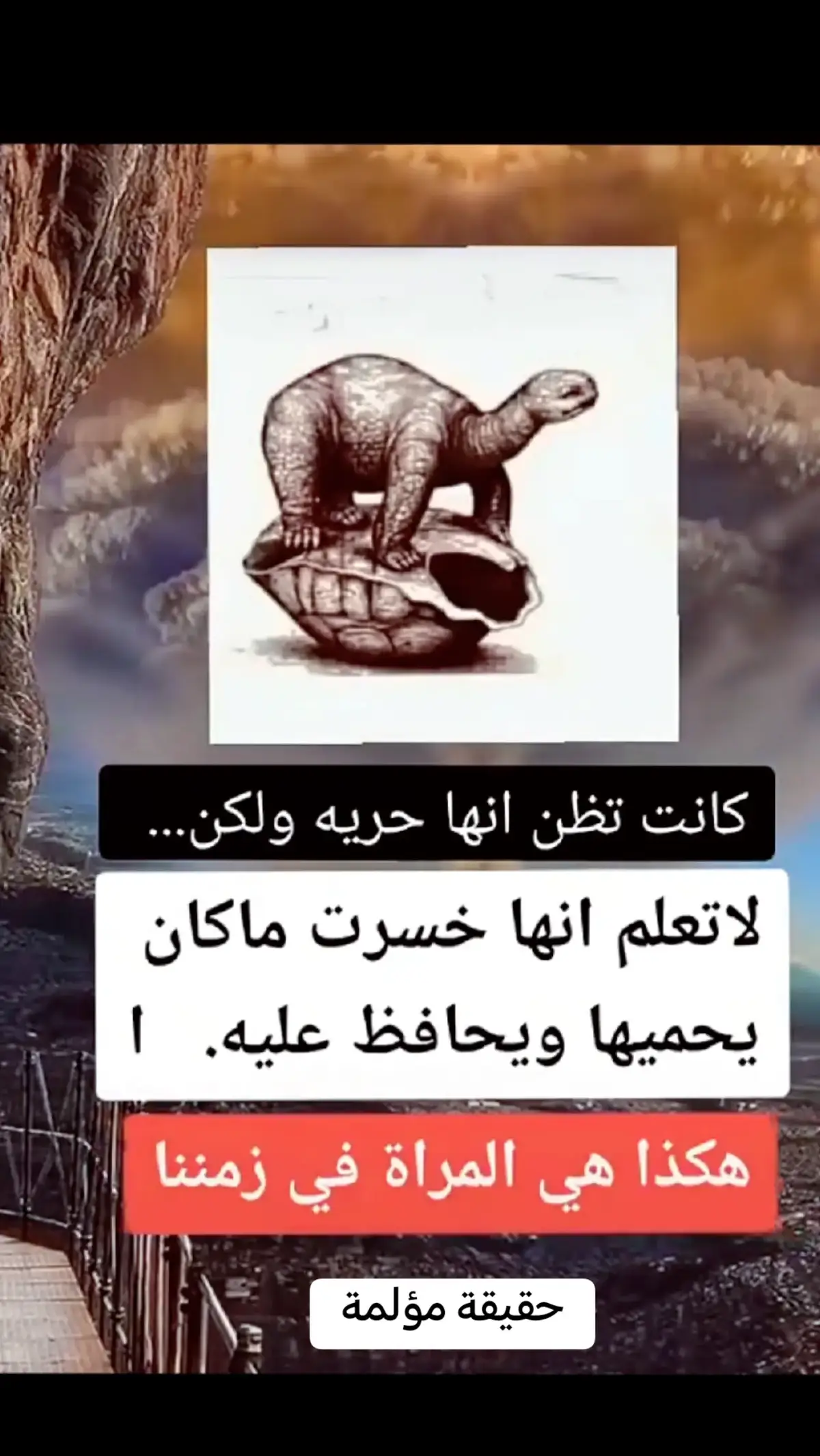 #حزينه_وقلبي_مجروح_ #عبارات_حزينه💔ذكـ҉ৡـريــا༊ت #اقتباسات_عبارات_خواطر_♥️🥀🖤🦋 #عبارات #عبارات#حزينه_وقلبي_مجروح_ #اكسبوررررررررررر💥⭐💥⭐💥🌟✨💥✨💥✨ 