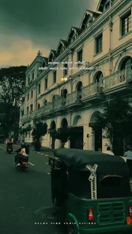 තේරුනාද🙂🤍“ #trending #foryou #foryoupage #haash_page #haash_me #statusvideo 