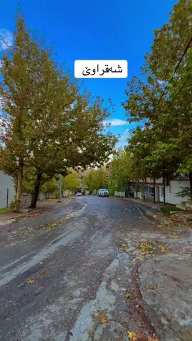 #shaqrawa #xoshnaw #foryou #foryoupage @﮼ستار ﮼خۆشناو 